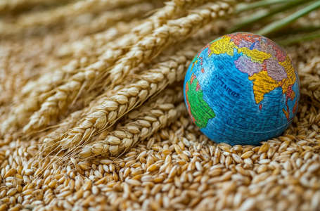 Қостанайдан Нью-Йоркке 24 тонна ұн экспортталды