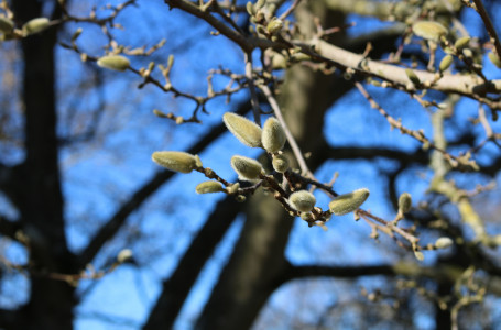 Жылы әрі жауын-шашынсыз: бүгін ауа райы қандай болады?