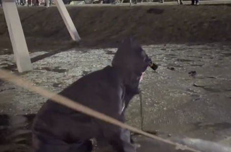 Қостанай облысында бірнеше ауданды су басты