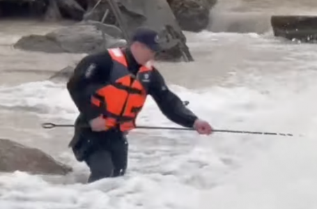 Түркістан облысында Келес өзеніне ағып кеткен 8 жастағы бала табылмай жатыр