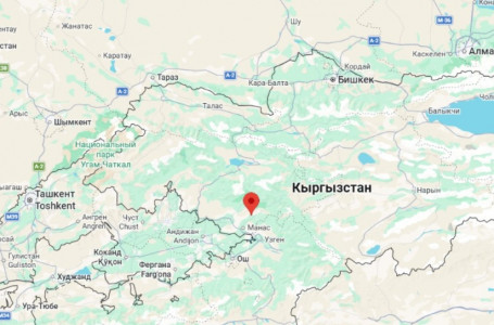 Қазақстандық сейсмологтар Қырғызстандағы жер сілкінісін тіркеді