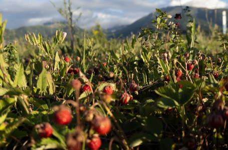 Демалыс күндері ауа райы қандай болады?