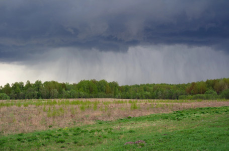 Демалыс күндері ауа райы қандай болады?