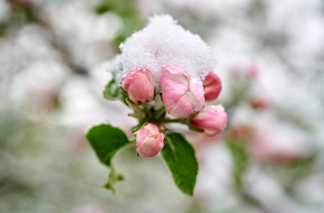 Күрт құбылады: алдағы күндері ауа райы қандай болады?