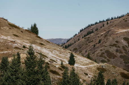 Құны 2 млрд теңгеден асады: Алматыда тау бөктеріндегі жер телімі мемлекетке қайтарылды