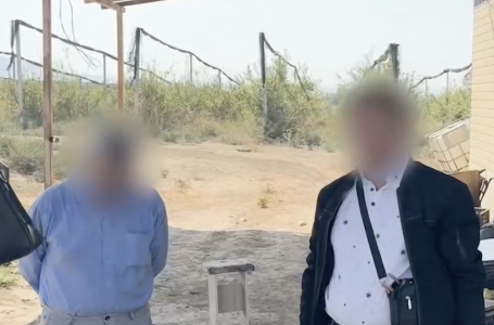 Шымкенттегі алма бақтарына қатысты қитұрқы схема: іс сотқа жетті