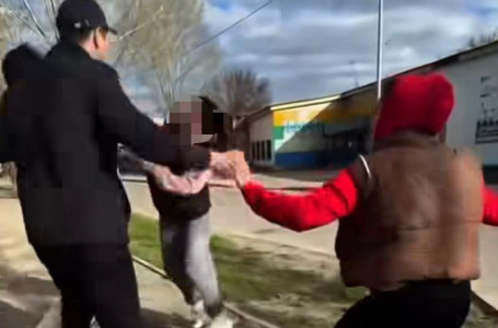 Тікелей эфирден басталған: Қостанайда қыздар арасындағы төбелес видеоға түсіп қалды