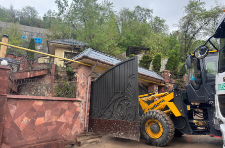 Алматыда лай көшкіні жүрді