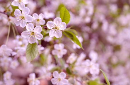 Аяздың беті қайтады: демалыс күндері ауа райы қандай болады?