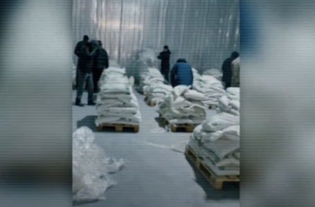 “Кокос деп ойладым“: 13 тонна кокаин ісі бойынша айыпталушы сотта сөйледі