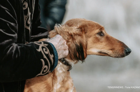 Қазақстанда жаңа мереке пайда болады