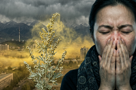 Аллергия асқынып барады: мамандар маңызды ескерту жасады