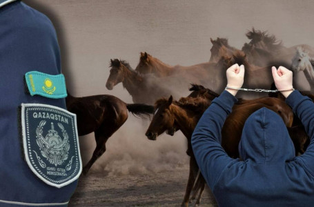 Келген шығын - 46 млн теңге: Жетісу облысында 17 жыл мал баққан бақташы тосын қылмысқа барған