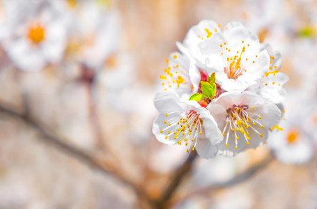 Мамырда Қазақстан азаматтары қанша күн демалады?