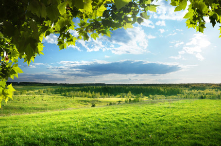 Күн күркірейді, бұршақ жауады: бүгін ауа райы қандай болады?