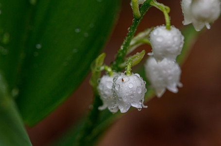 Демалыс күндері ауа райы қандай болады?