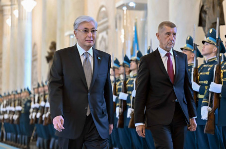 Астанаға Чехия премьер-министрі келді