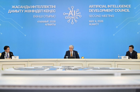 Президент Үкіметке маңызды міндет жүктеді