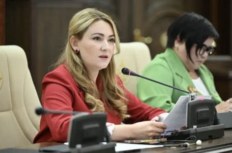 “Әлі күнге дейін мүгедектігі бар азаматтардың тілін толық түсініп болған жоқпыз“ - депутат 