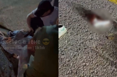 Павлодар облысында такси жол қоршауына соғылып, жолаушы екі аяғынан айырылды