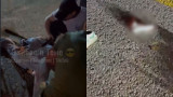 Павлодар облысында такси жол қоршауына соғылып, жолаушы екі аяғынан айырылды
