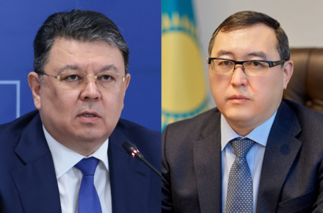 “Қанат Бозымбаев пен Марат Сұлтанғазиев жіберген олқылық“. Президент шенеуніктерді неге сынады?