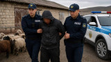 Жамбыл облысында шаруа қожалығының жай-күйіне әбден қаныққан қойшы мал ұрлығын ұйымдастырған