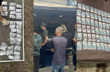 ШҚО тұрғынынан ірі көлемде марихуана тәркіленді