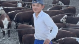 Сиырлардың ортасында трендтегі биді билеген ақтаулық жасөспірім желіні тәнті етті