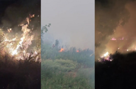 Алматы облысында үш күннен бері алапат өрт сөндіріліп жатыр