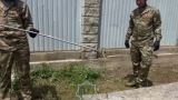 Алматы облысында жеке үйдің ауласына жылан кіріп кеткен