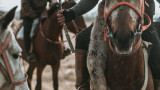 “Көкпардан кейін атыс шығарып, жұрттың үрейін ұшырған“. Жамбыл облысында ауыл тұрғынына сот үкімі шықты