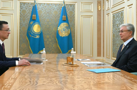 Тоқаев Қазақстан Халық Кеңесі төрағасының орынбасарын қабылдады