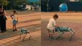 Қазақстанда робот-иттің көмегімен төрт құқықбұзушы анықталды