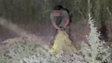 “Мал іздеп жүріп жинадым“. Жамбыл облысында тұрғыннан 40 келіден аса марихуана тәркіленді
