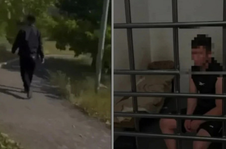Астанада саябақта қызға шабуыл жасаған күдікті ұсталды