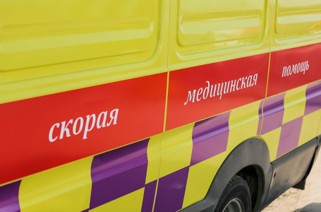 Қарағандыда үстіне бұтақ құлаған бес жасар бала қаза тапты