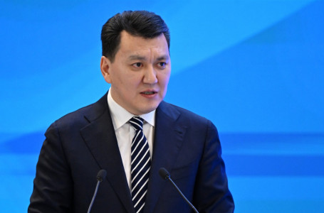 Ерлан Қарин Құрылтай сайлауының маңызын түсіндірді