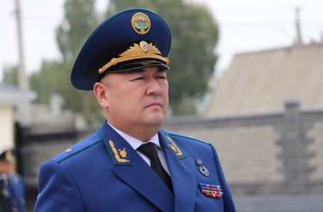 Қырғызстанда Қамшыбек Тәшиевтің орнына кім тағайындалатыны белгілі болды