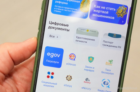 “eGov қызметкерімін“. Қазақстанда алаяқтықтың тағы бір түрі шықты