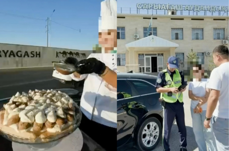 Жол үстінде торт жасаған: Түркістан облысында ерлі-зайыпты жауапқа тартылды