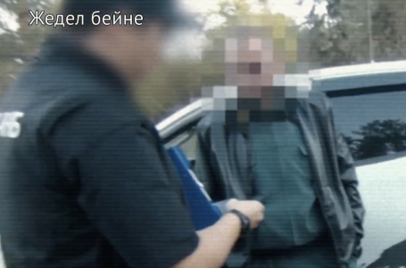 Ақшасына ағаштарды кесуге рұқсат берген: “Семей орманында“ лауазымды тұлғалардың заңсыз әрекеті әшкереленді