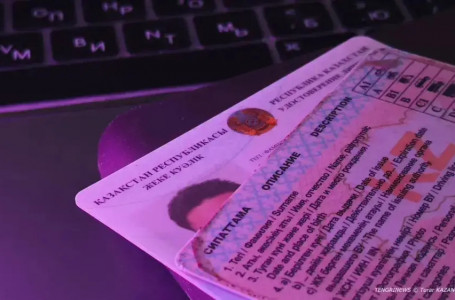 Жүргізуші куәлігін алу емтихандарын тапсыру ережесі өзгерді: не білу керек?