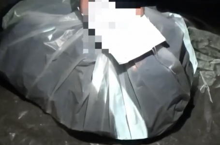 Пакет-пакет ақшаны шатырға жинаған: Түркістан облысында үй жөндеп жатқандар тосын жайтқа тап болған