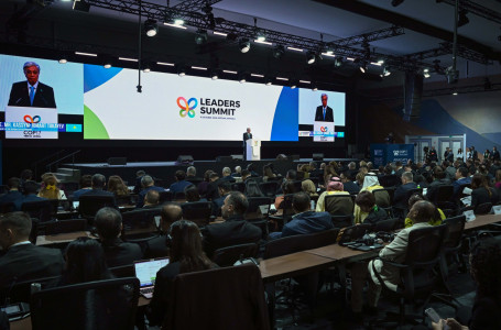 Тоқаев COP17 экология саммитінде бірқатар ұсыныс жасап, шетелдік серіктестерді оған үн қосуға шақырды