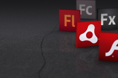 32. Adobe Flash – Үйрек пен тауықтың бір-біріне айналуы