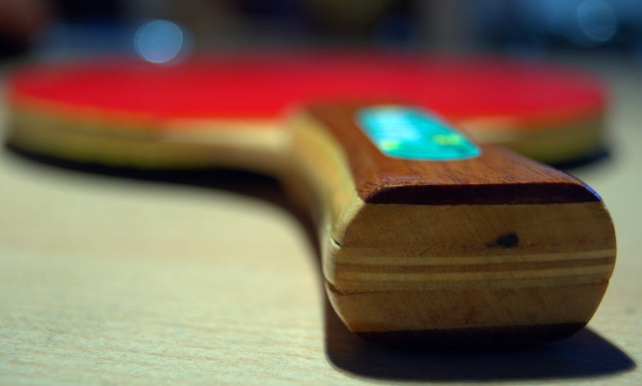 Үстел теннисінен өткен халықаралық турнирде Қазақстан жүлдегер атанды