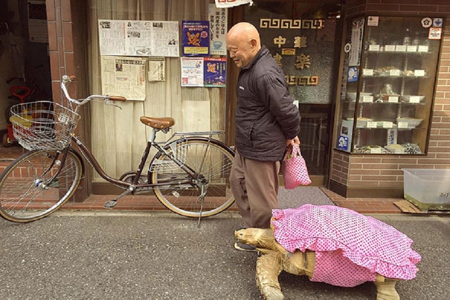 Токио тұрғыны тасбақамен бірге серуенге шықты 