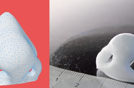Қазақстандық дәрігерлер 3D-принтермен мұрын басып шығармақшы