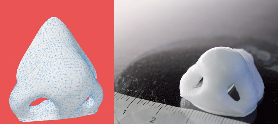 Қазақстандық дәрігерлер 3D-принтермен мұрын басып шығармақшы